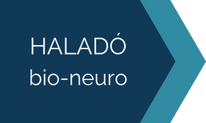 haladó bio neurofeedback tanfolyam
